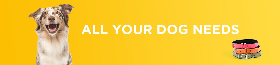 Best Dogs Products in Egypt