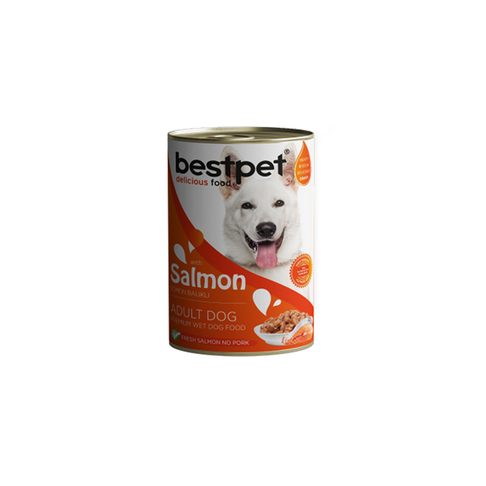 bestpet Wet Food for Adult Dog With Salmon 400g