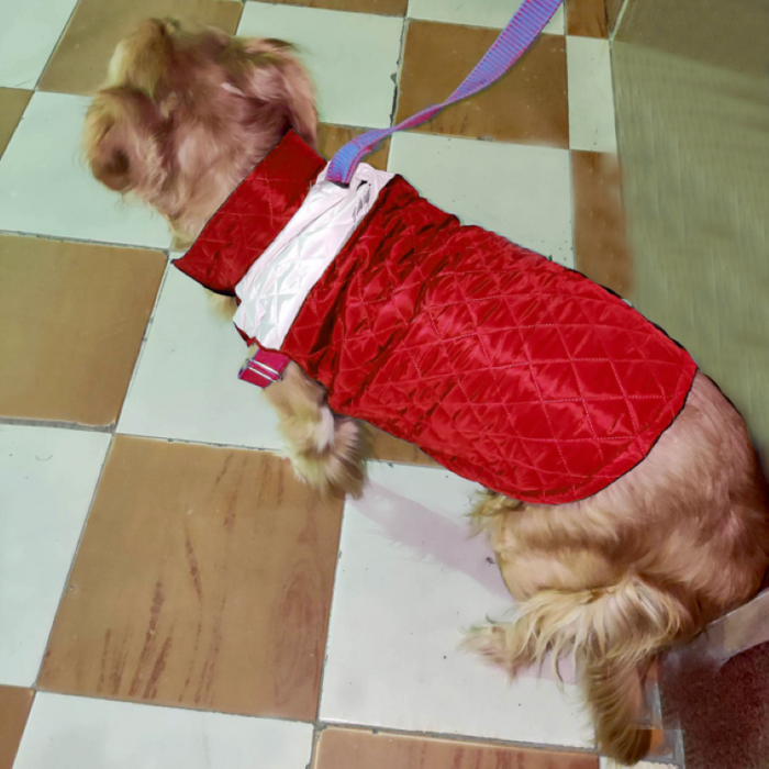 Troofy Dog waterproof vest all breeds
