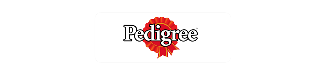 Pedigree Pet Products in Egypt