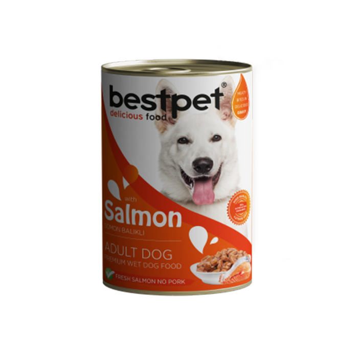 bestpet Wet Food for Adult Dog With Salmon 400g