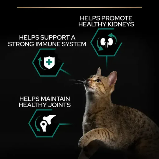 PURINA Pro Plan Original Adult Cat OPTIRENAL with Chicken 1.5 KG