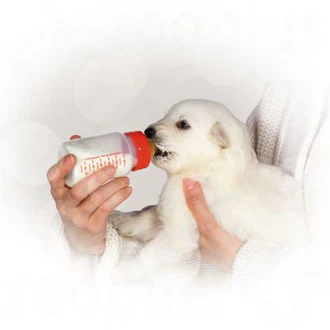 Royal Canin Babydog Milk (400 gm) - For Puppies up to 4 Months