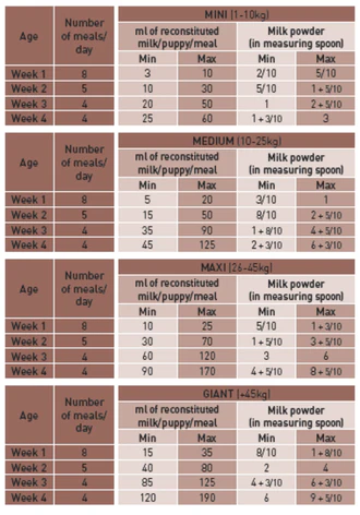 Royal Canin Babydog Milk (400 gm) - For Puppies up to 4 Months