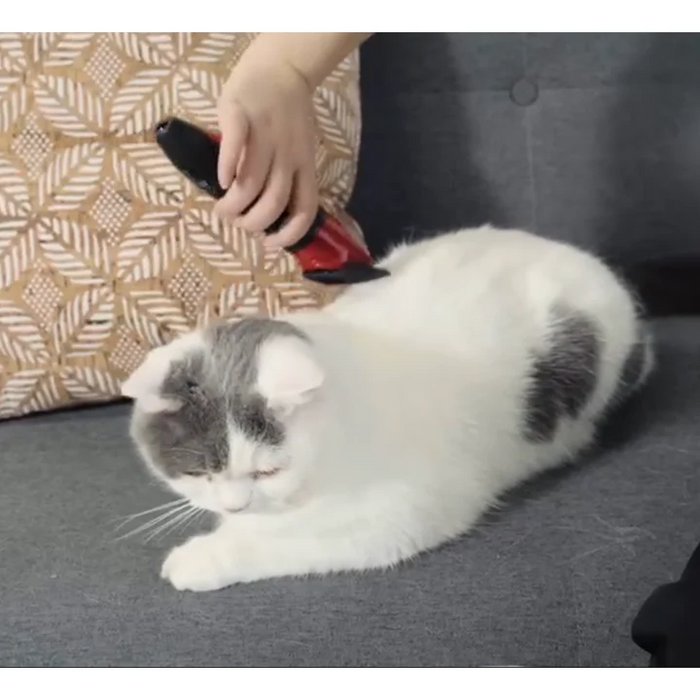 Naomi Electric Hair Trimmer Set for Pets