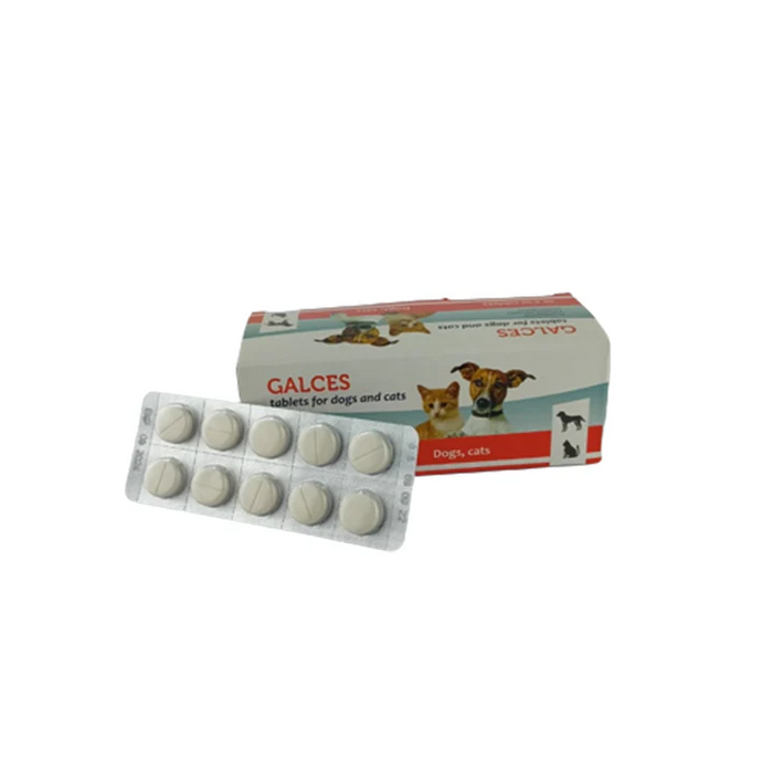 Galces Deworming Tablets For Dogs and Cats (1 Tablet)
