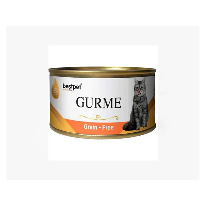 Bestpet Gurme Wet Food with Salmon - For Adult Cats 100g