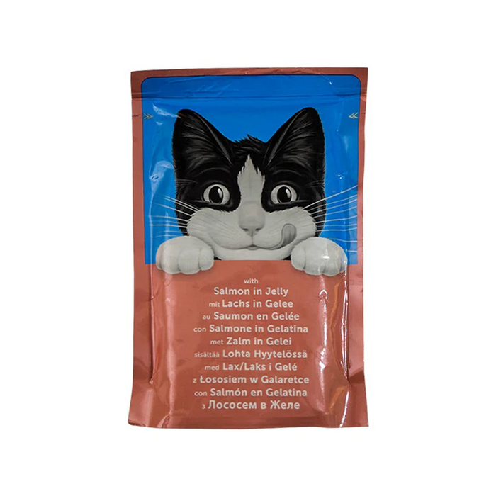 Felix Cat Wet Food with Salmon in Jelly 100g