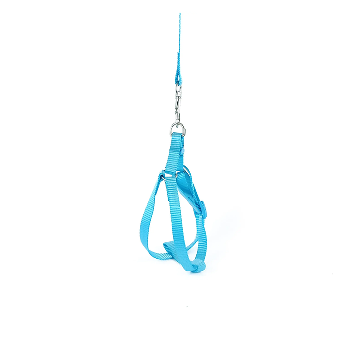 Leash + harness neon long XSmall (1 cm × 120 cm × 24-35 cm)