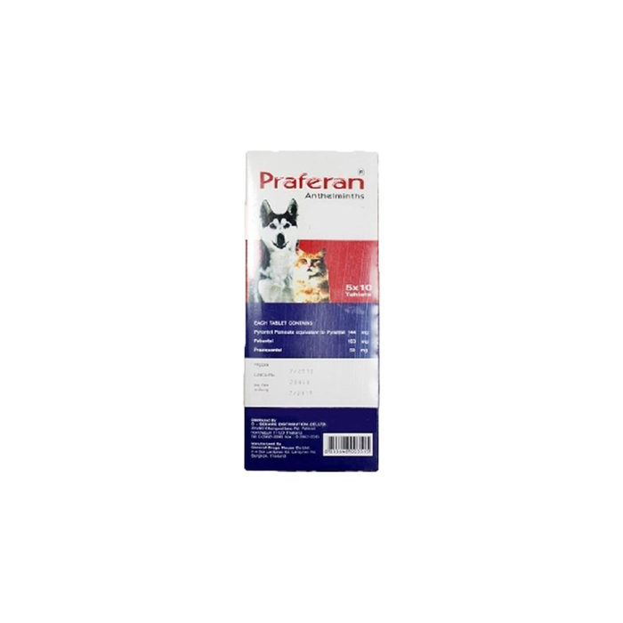 Praferan Anthelminth, Dewormer for Dogs and Cats, One Single Tab