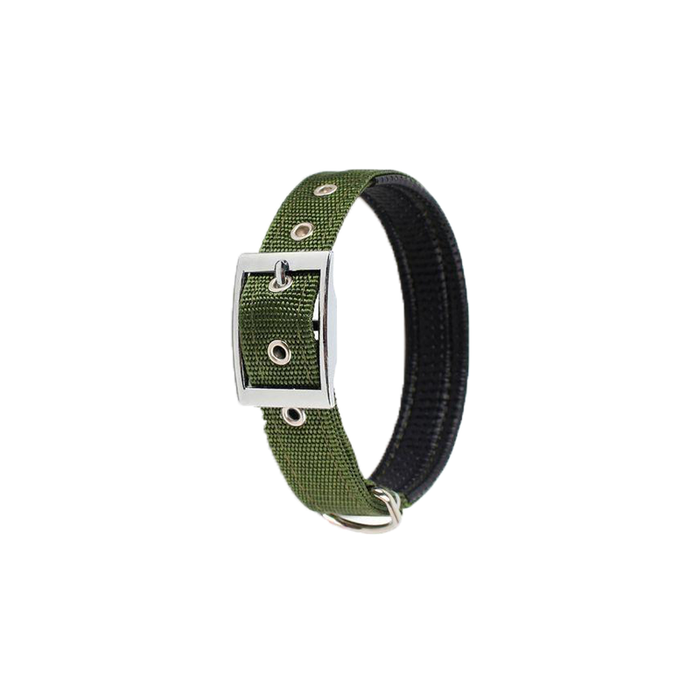 Eissely Adjustable Dog Collar - Green