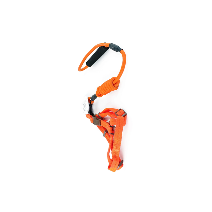 leash + harness shimy medium plain colors Small (120 cm × 0.7 cm × 30-45 cm)