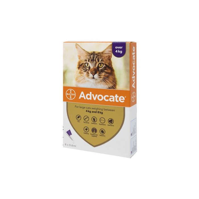 Advocate for Cats Spot On (For Large Cats over 4kg) - 1 Pipette