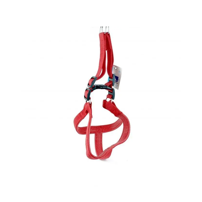 Medium Leash + harness plain (2.5 cm × 120 cm × 52-70 cm)