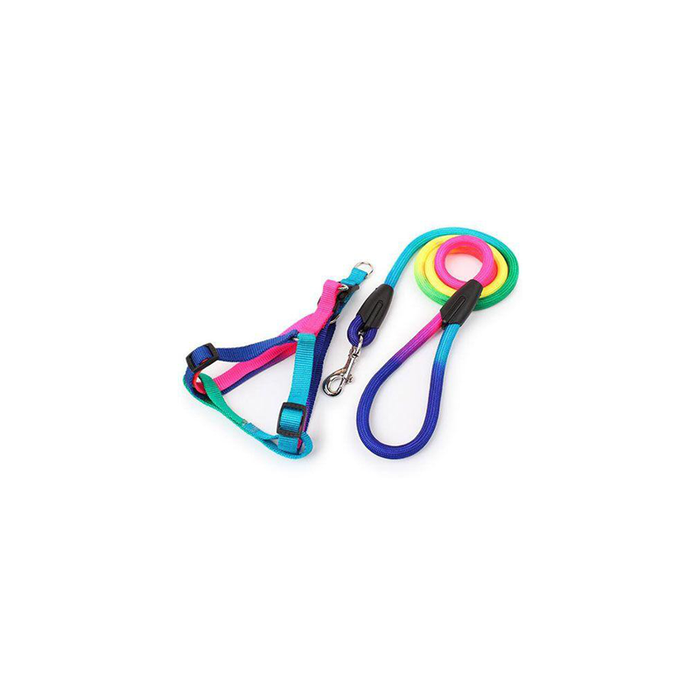 Puppy Harness and Leash in Multi-Colors