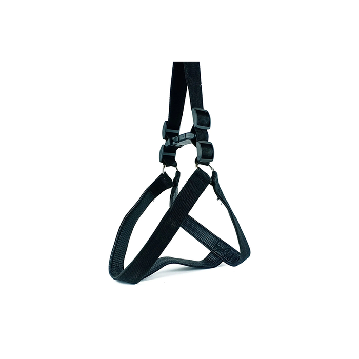 Leash + harness plain XL (3.5 cm × 120 cm × 75-94 cm)