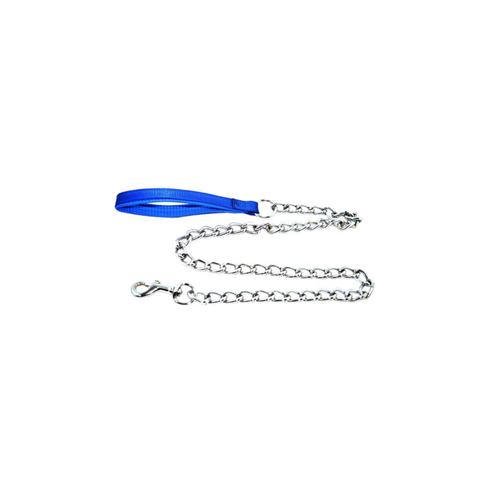 AM Pets Dog leash with Padded Hand - Blue, Large
