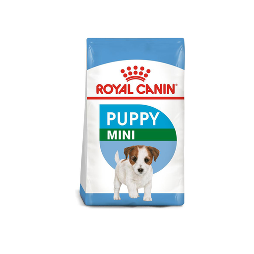 Royal canin mini sales junior