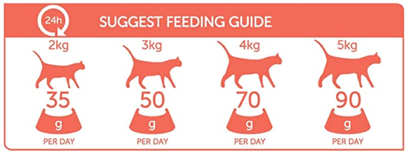 HappyOne Dry Food For adult cats with Salamon 10kg