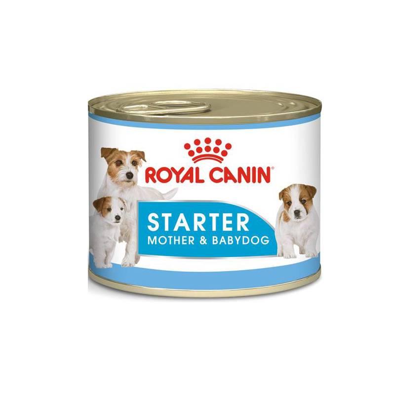 Royal canin starter mousse feeding clearance guide