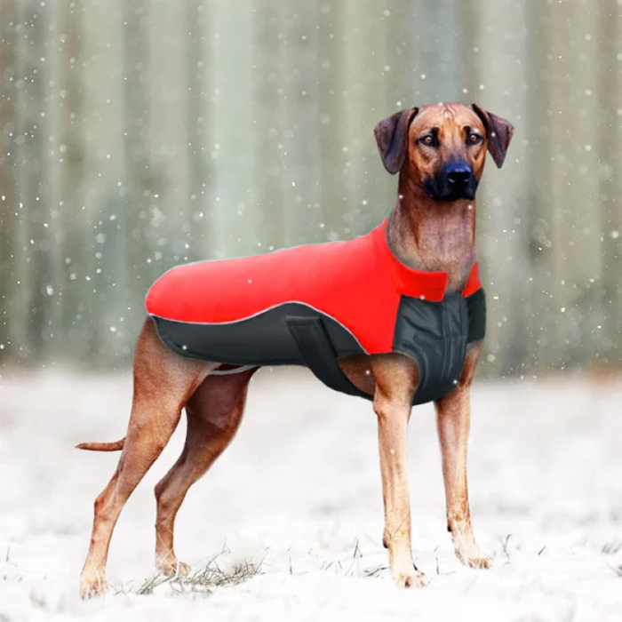 Dog Winter Waterproof Padded Vest