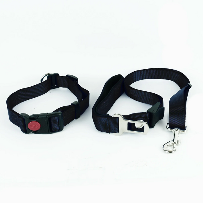 Multi function rope Leash - Collar and Car seat belt