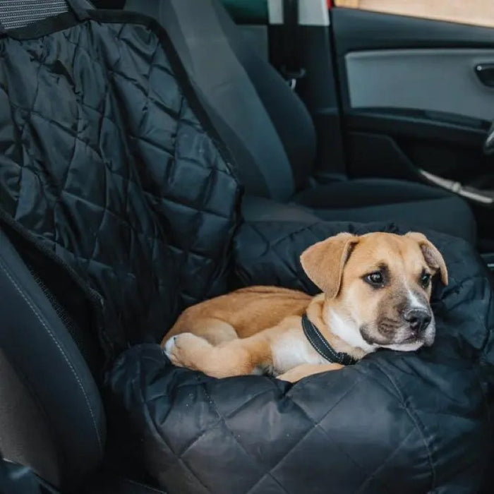 Ariika Pet Front Seat Cover