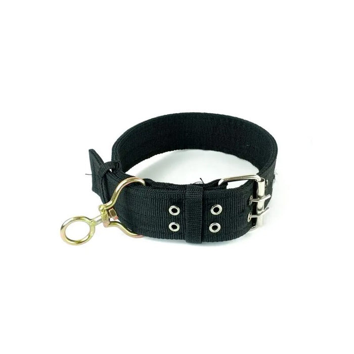 LCX Dog Collar XL (5cm x 44-58cm)
