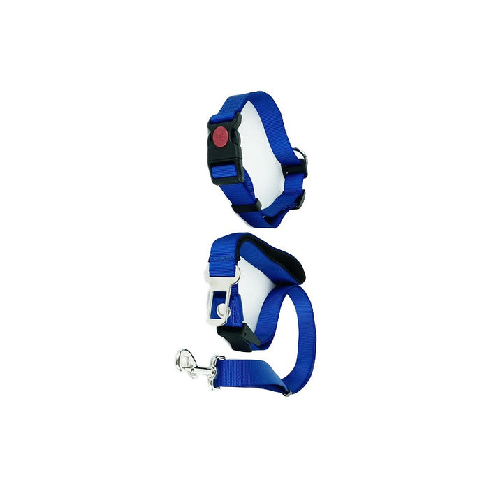 Multi function rope Leash - Collar and Car seat belt