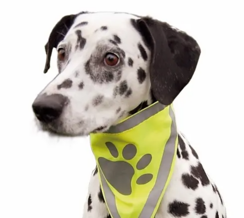 Dog Safety Vest Reflective neck