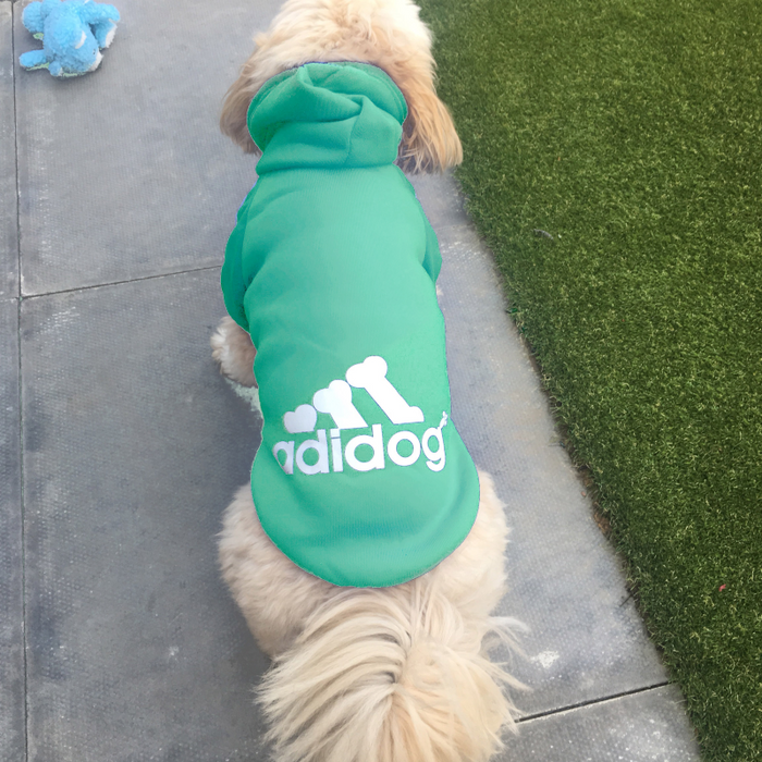 Adidog coat 2024