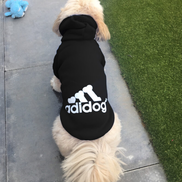 Buy Adidog Pet Hoodie For Cold Winter at the best online price Whiskers Pet Shop Top Reviews from Cairo Egypt Whiskers Egypt
