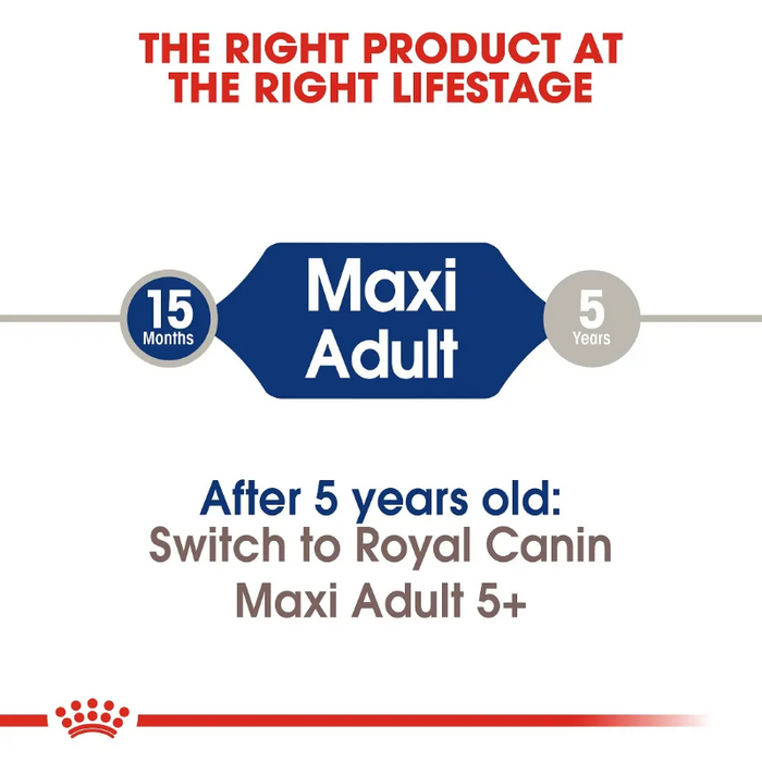 Royal Canin Maxi Adult - Large Dogs Dry Food (4 Kg / 15 Kg)