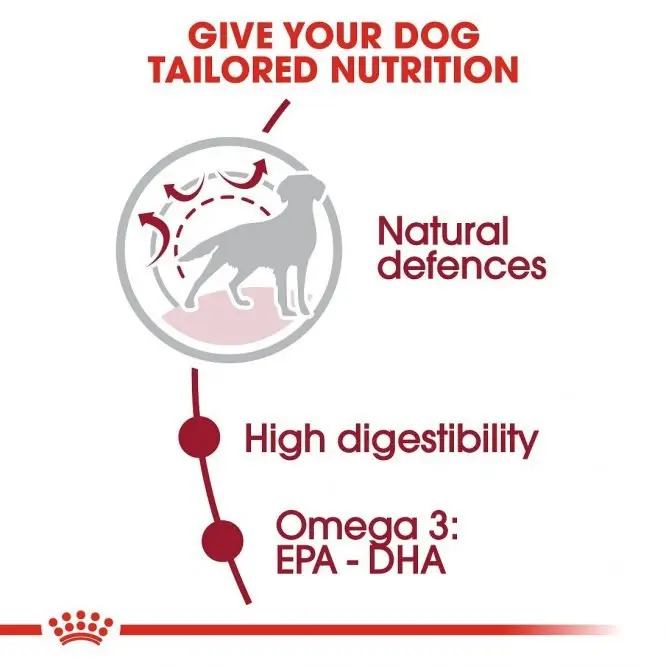 Royal Canin Medium Adult - Complete Dry Dog Food (4 KG /15KG)
